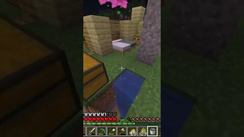 Minecraft 1.19 Survival Realms THE DEEP! New Server Fresh Start Java Edition PC SMP LP TikTok Gaming