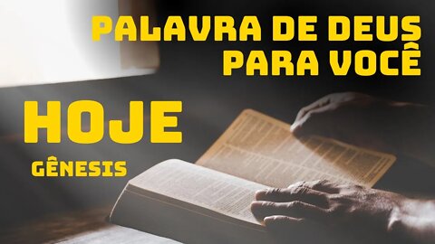 PLANO DE LEITURA BÍBLICA ANUAL | PALAVRA DE HOJE | 03 DE JANEIRO DE 2022 | GÊNESIS CAP 07-08-09