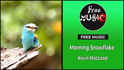 Morning Snowflake - Kevin MacLeod