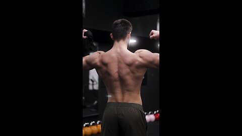 Back Workout | FREE WEIGHTS ONLY