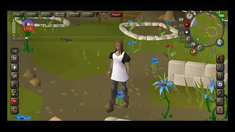 Sporting a New Look - Is It Me? - Pirate's Treasure Tidbit - Old School Runescape - April 13, 2023