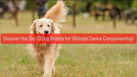 Discover the Top 10 Dog Breeds for Ultimate Canine Companionship!