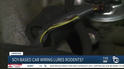 Fact or Fiction: Are rodents lured to Honda CR-V by soy-based wiring?