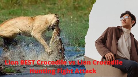 BEST Crocodile vs Lion# Crocodile Hunting #Fight Attack#