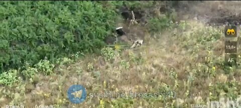 A Russian Soldier Singlehandedly Captures a Ukrainian Strongpoint on the Krasnolimansk Front