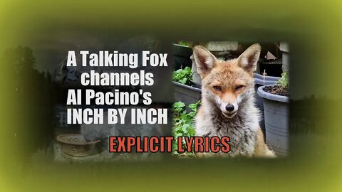 CONTAINS PROFANITY Inch by Inch Friendly talking urban's fox motivation speech to cubs & all #foxes