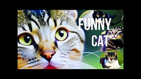 Funny Animals Videos 😃 Best Dogs 🐶 and Cats 😺 Videos 😃😂