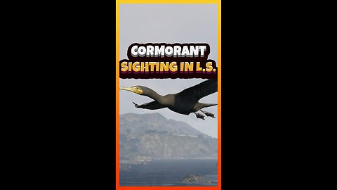 A Cormorant sighting in Los Santos | Funny #GTA clips Ep. 273 #gtarecovery #moddedaccounts