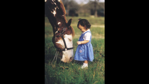 The cutest little toddler horse rider and her pony