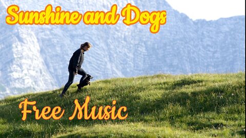 Sunshine And Dogs Copyright Free Acoustic Guitar Free To Download