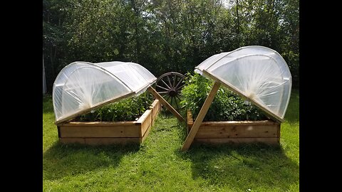 Growth and times of a Garden 67 days after transplanting my seedlings.