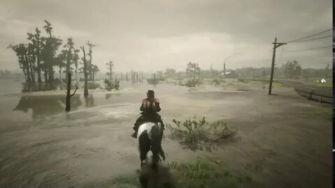 Red Dead Online(PC) - Why the Gypsy Cob is my New Swamp Hunting Horse