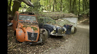 Million Dollar Car Graveyard