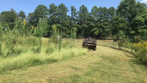 Ways of mulching end of season biomass, Chop and drop?