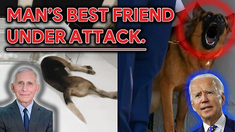 MAN'S BEST FRIEND -- UNDER ATTACK.