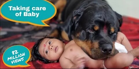 Dog protecting cute baby🥰♥️ family love 🥰