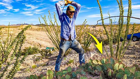 Ninja Cutting Cactus, For A Good Reason