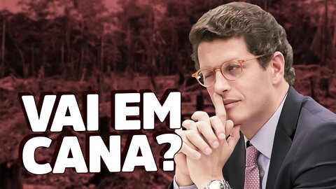 Ministro Ricardo Salles VAI SER PRESO?