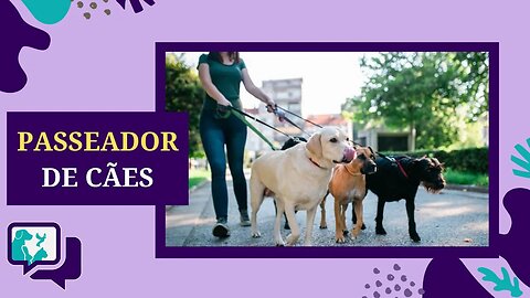 DOG WALKER, Passeador de cachorro, O que é e como funciona?