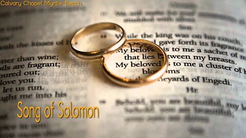 Song of Solomon 6-8