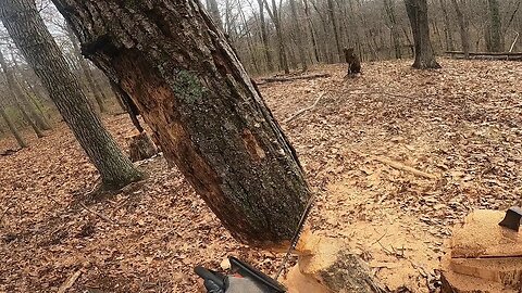 Cutting bottom to top - Removing lodged trees