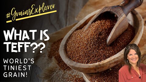 All About Teff | April 2024 Grains Explorer Challenge | Ancient Gluten Free Grain