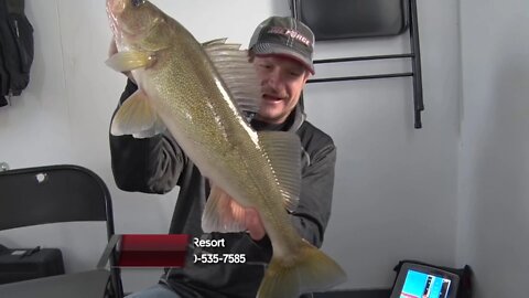 Walleye through the ice at Lake of the Woods