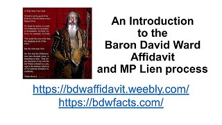 Baron David Ward Affidavit Talk 9th February 2024