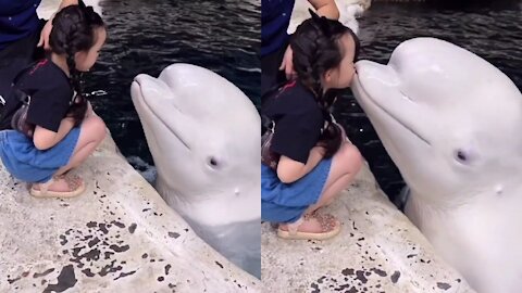 The little girl kissed the friendly and cute dolphin