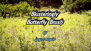 Blusteringly Butterfly Brush