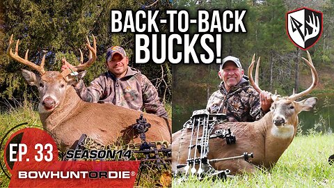 Buck Buddies! Back-To-Back Bucks!