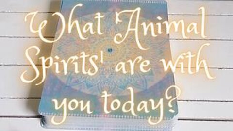 What 'Animal Spirits' are with you today?