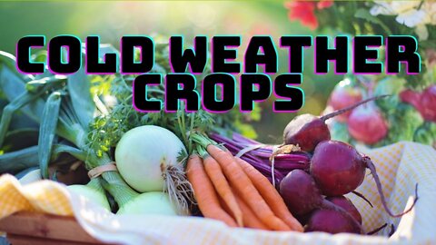 cold weather garden crops