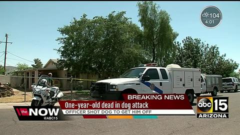 Child dead after dog attack in south Phoenix