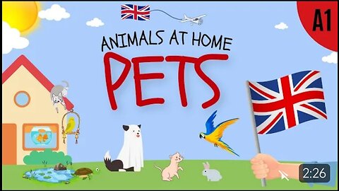 Pets Vocabulary Animals at home English ESL Lesson