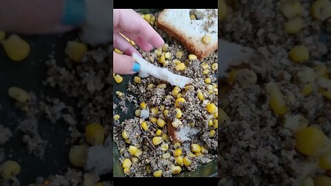 River fishing, sweet corn, groundbait, toast #shorts #shortsfishing #shortvideo