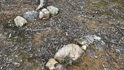 The Log Cabin Metal Detecting