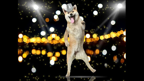 Dance Dog 2.1