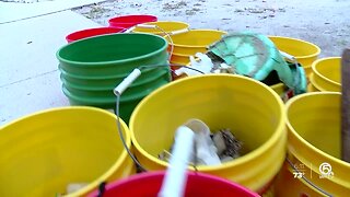 West Boca High School students participate in beach cleanup