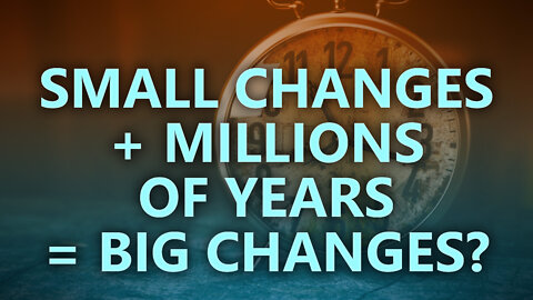 Small changes + Millions of years = Big changes