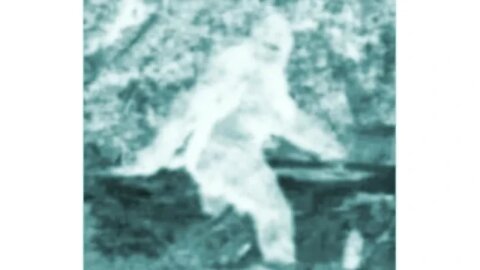 Bigfoot, Multiple Sightings & Eyewitnesses - Minerva Monster, Beast of Whitehall