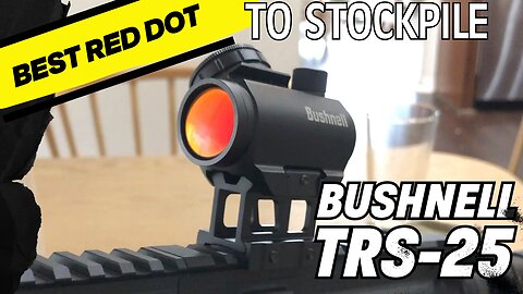 Bushnell TRS-25 : The Red Dot Optic to Stockpile