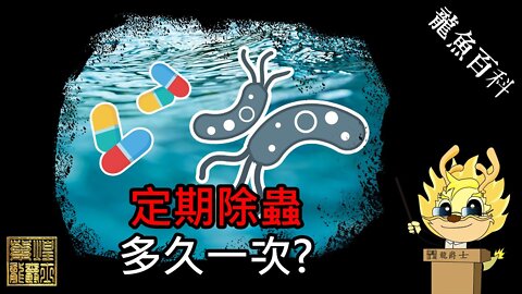 【龍爵士】水族百科-定期除蟲，多久一次