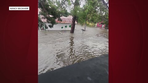 Cedar Key artist 'kind of numb' after Idalia leaves shop underwater