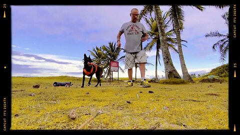 ß Ø ¥ Å : DIA DE TREINO NA PRAIA (19.05.2023)