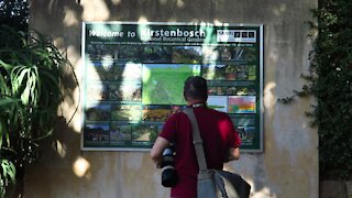 SOUTH AFRICA - Cape Town - Kirstenbosch National Botanical Garden (Video) (7EA)