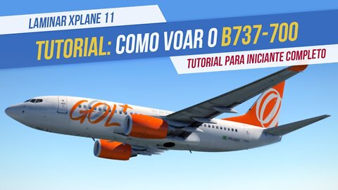 B737-700 - Tutorial Voo Completo