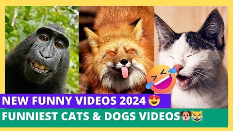 New Funny Videos 2024 😍 Funniest Cats & Dogs Videos🐶😹