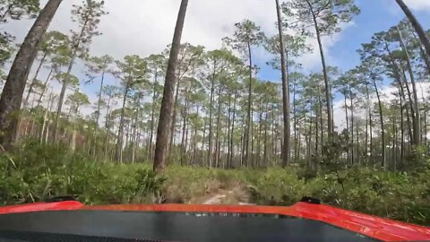 Osceola Trail 257 C