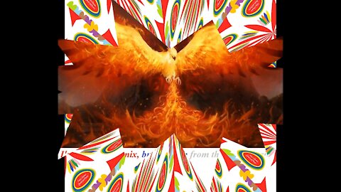 I'm not the phoenix, but I reborn from ashes! [Quotes and Poems]